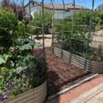Customer Garden with Raised Garden Bed Mix | SPV Soils