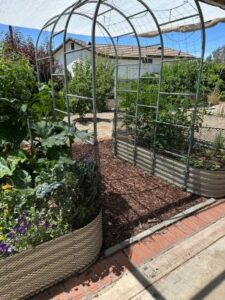 Customer Garden with Raised Garden Bed Mix | SPV Soils
