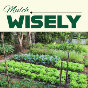 Mulch Wisely | SPV Soils