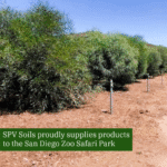 SPV Soils proudly supplies products to the San Diego Zoo Safari Park – Grower’s Mulch on their Animal Browse Farm | SPV Soils