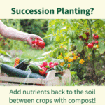 Succession Planting Compost | SPV Soils