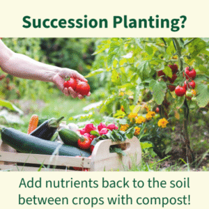 Succession Planting Compost | SPV Soils