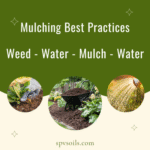 Mulch Best Practices | SPV Soils