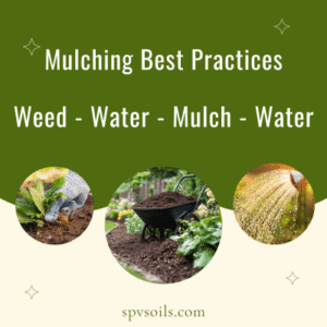 Mulch Best Practices | SPV Soils
