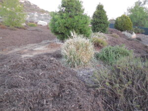 Grower's Mulch - Long Lasting Weed & Erosion Control | San Pasqual Valley Soils