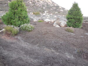 Grower's Mulch - Long Lasting Soil Conditioning | San Pasqual Valley Soils