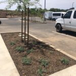 Grower’s Mulch adds beauty to garden beds | San Pasqual Valley Soils