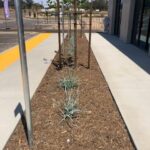 Grower’s Mulch looks great in garden beds | San Pasqual Valley Soils