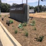 Grower’s Mulch installation | San Pasqual Valley Soils
