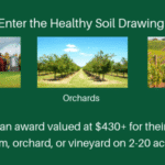 Healthy Soil Drawing Award Value | SPV Soils