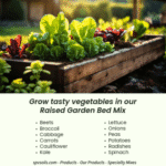 Winter Garden with Raised Garden Bed Mix | San Pasqual Valley Soils