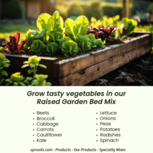 Winter Garden with Raised Garden Bed Mix | San Pasqual Valley Soils