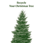 Recycle Your Christmas Tree | San Pasqual Valley Soils
