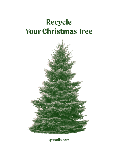 Recycle Your Christmas Tree | San Pasqual Valley Soils