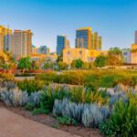 1383 Procurement Assistance Services and Resources for San Diego County | SPV Soils