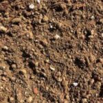 Lightweight Protea Mix | SPV Soils