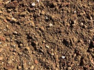 Lightweight Protea Mix | SPV Soils