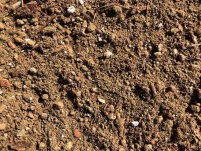 Lightweight Protea Mix | SPV Soils