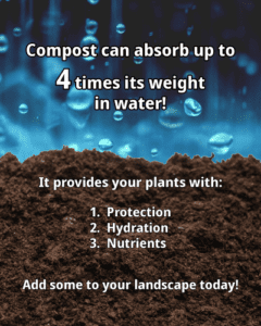 Compost absorbs water | SPV Soils