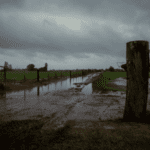 SPVSoils_stormwatermanagement2.26-5
