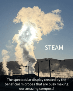 Happy Microbes creating amazing compost and steam! | SPV Soils