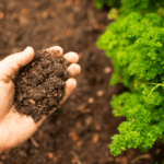 2026 Landscape IPM Workshop with Dr. K | SPV Soils