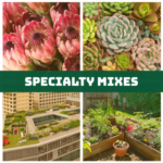 Specialty Mixes for the perfect start | SPV Soils