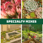 Specialty Mixes for the perfect start | SPV Soils