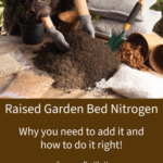 Why you need Nitrogen in your Raised Garden Bed | SPV Soils