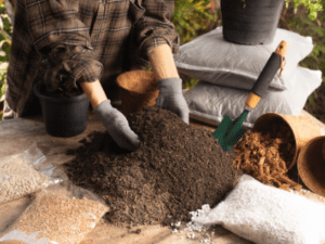 Why you need Nitrogen with our Raised Garden Bed Mix | SPV Soils