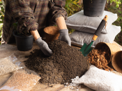 Raised Garden Bed and Nitrogen