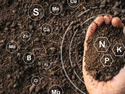 Why you need Nitrogen for our RGB Mix | SPV Soils