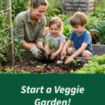 Start a Veggie Garden – Amend with Compost | SPVS