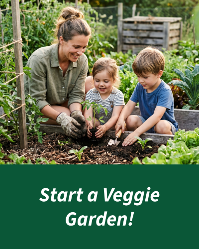 Start a Veggie Garden - Amend with Compost | SPVS