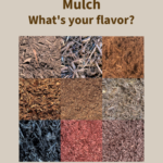 Mulch… We have lots of options! | SPVS