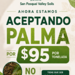 Ahora Estamos Aceptando Palma | SPVS