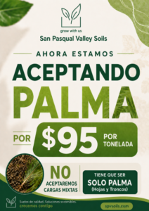 Ahora Estamos Aceptando Palma | SPVS