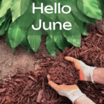 Hello June – Mulch! | SPV Soils