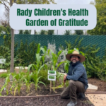 Rady Children’s Health – A Garden of Gratitude | SPV Soils