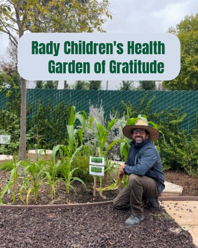 Rady Children's Health - A Garden of Gratitude | SPV Soils