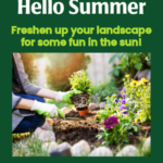 Freshen up your landscape for Summer | SPV Soils