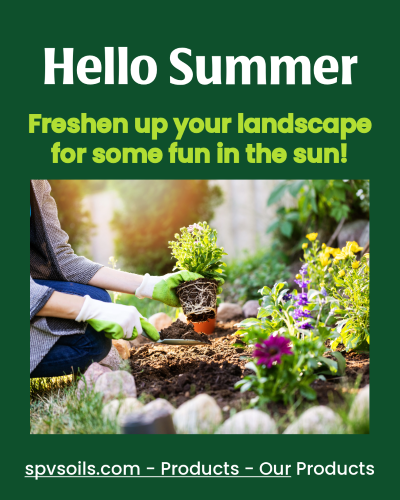 Freshen up your landscape for Summer | SPV Soils