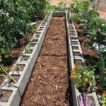 Cedar Mulch to control pests and weeds on pathways in Jefferson’s raised garden beds | SPV Soils