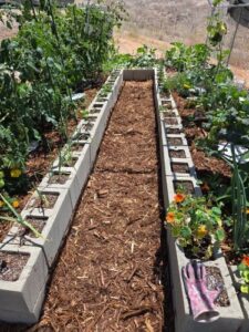 Cedar Mulch to control pests and weeds on pathways in Jefferson's raised garden beds | SPV Soils