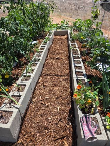 Cedar Mulch to control pests and weeds on pathways in Jefferson's raised garden beds | SPV Soils