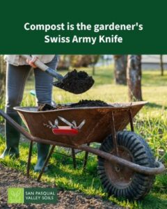 Compost is the Swiss Army Knife in the gardener's toolbelt! | SPV Soils