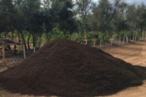 Compost - Soil Remediation | SPV Soils