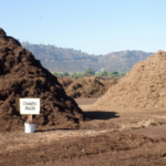 Mulch – Soil Remediation | SPV Soils