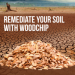 Degraded Soil – Woodchip for Soil Remediation | SPV Soils