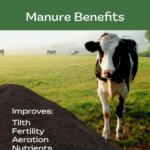 Amend with Aged Cow Manure | SPV Soils